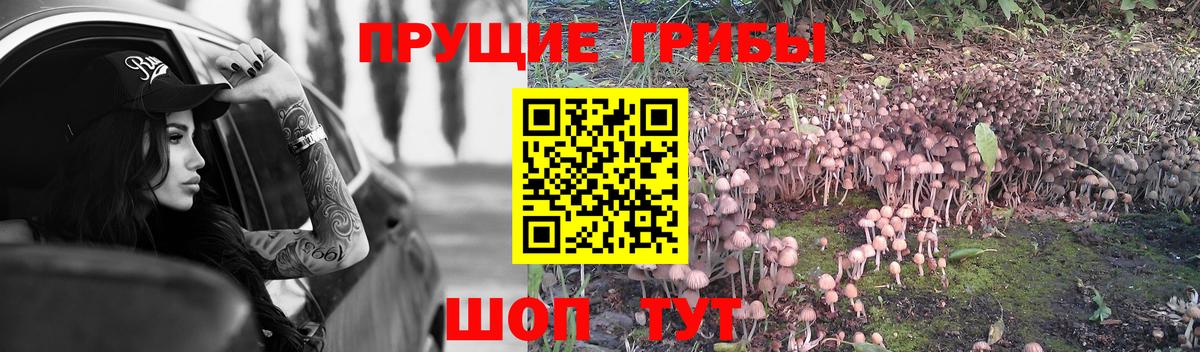 Галлюциногенные грибы мицелий Новодвинск