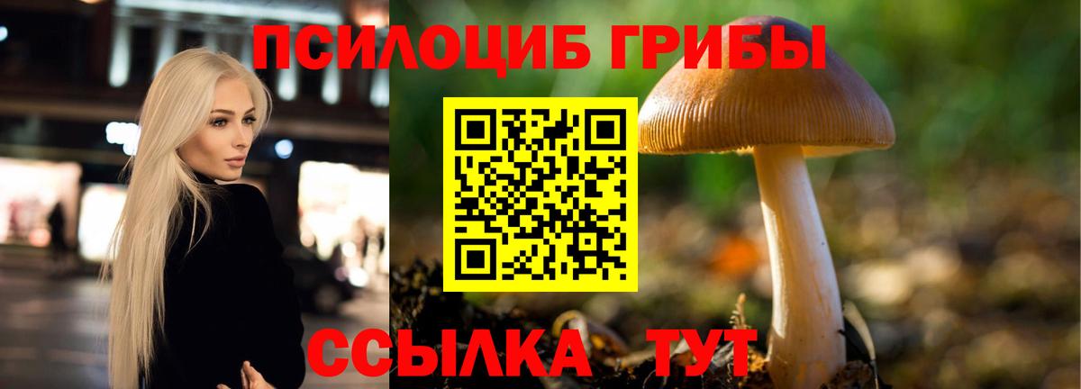 Новодвинск  Псилоцибиновые грибы Psilocybe  Вход с VPN 